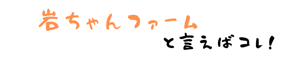 岩ちゃんファームの温泉塩玉ねぎ